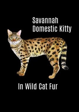 Savannah Cat Domestic