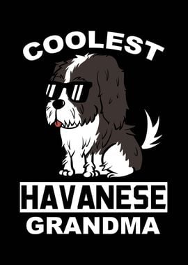 Havanese Grandma 