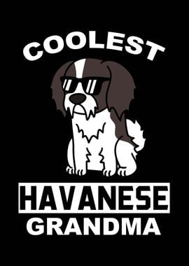 Havanese Grandma 