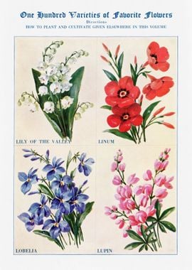 Vintage Gardening Poster 2