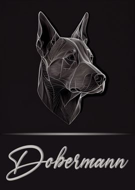 Elegant Dobermann