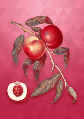 Walnut on Viva Magenta' Poster, picture, metal print, paint by Holy Rock  Design