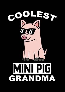 Mini Pig Grandma 