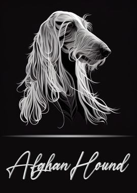 Afghan Hound