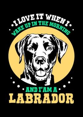 Labrador