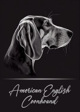 American English Coonhound