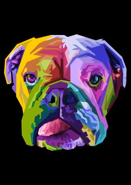 Colorful English bulldog