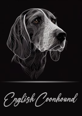 English Coonhound