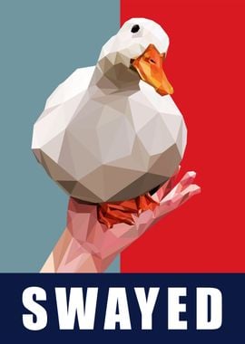 swayed duck