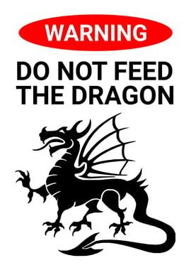 DO NOT FEED DRAGON WINGS