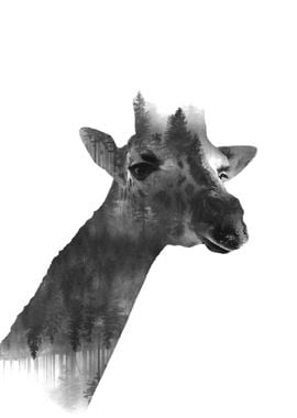 giraffe double exposure