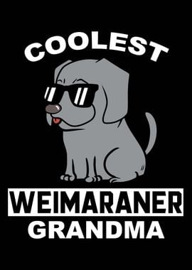 Weimaraner Grandma