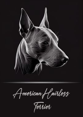 American Hairless Terrier