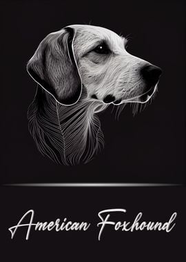 American Foxhound