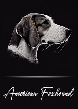 American Foxhound