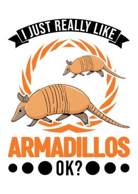 Armadillo Gift