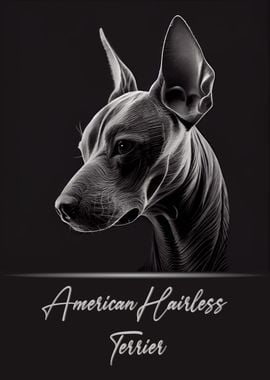 American Hairless Terrier