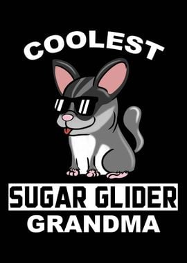 Sugar Glider Grandma