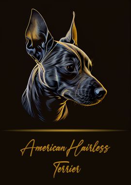 American Hairless Terrier