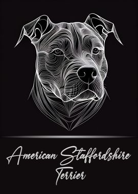 American Staffordshire