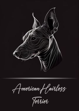 American Hairless Terrier