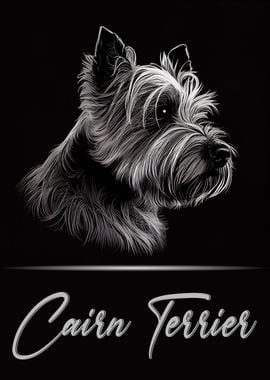 Cairn Terrier