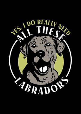 Labrador