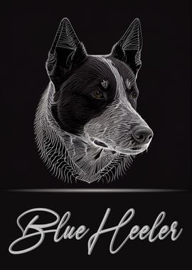 Blue Heeler