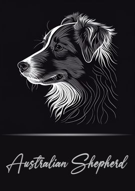 Australian Shepherd