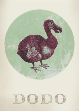 Vintage poster Dodo bird