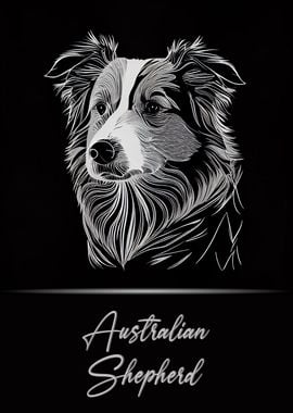 Australian Shepherd