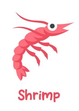 Shrimp