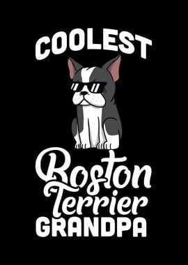 Boston Terrier Grandpa 