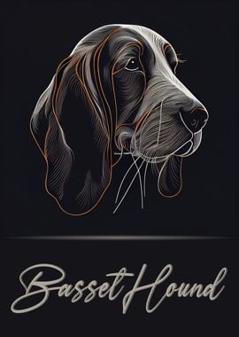 Basset Hound