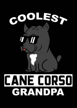 Cane Corso Grandpa 