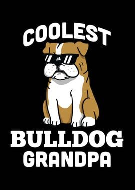 English Bulldog Grandpa 