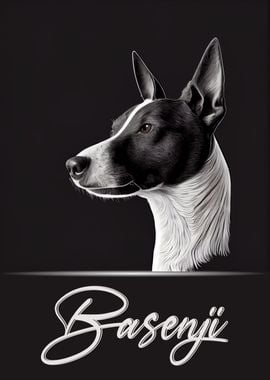 Elegant Basenji