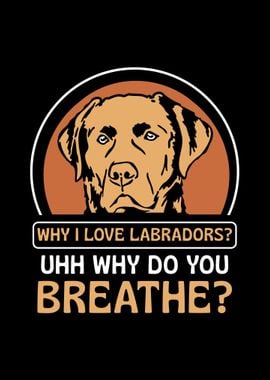 Labrador