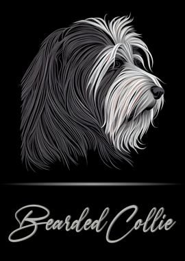 Bearded Collie Portrait