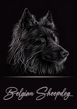 Belgian Sheepdog