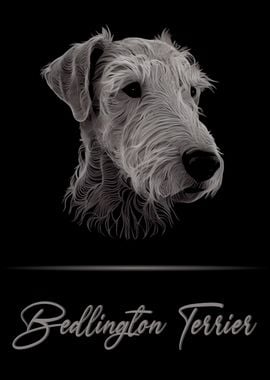 Bedlington Terrier