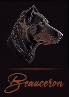 Beauceron Portrait