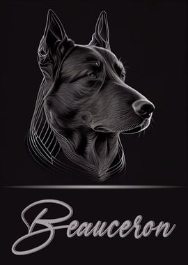 Beauceron