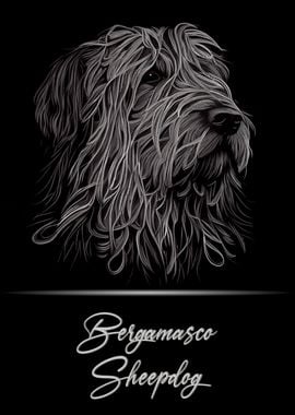 Bergamasco Sheepdog