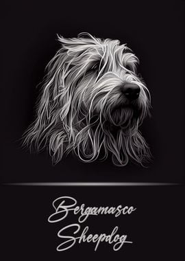 Bergamasco Sheepdog