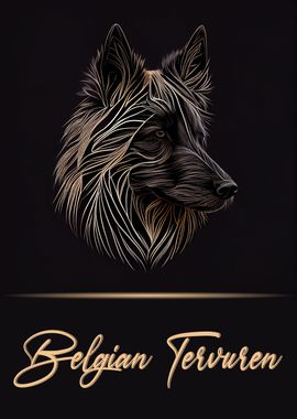 Elegant Belgian Tervuren