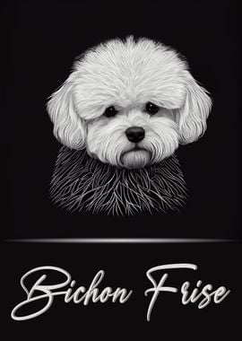 Bichon Frise Portrait