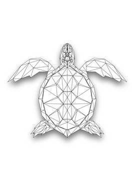 Turtle Wireframe Lowpoly