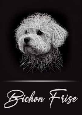 Bichon Frise