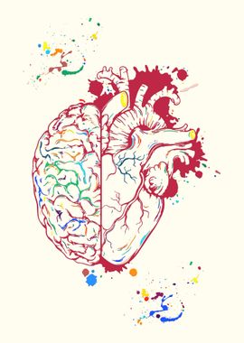 Heart And Brain Balance 